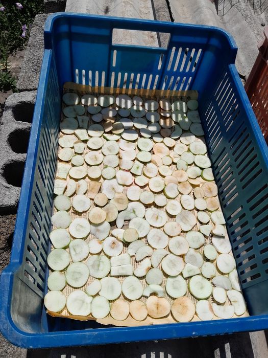 Сушка з яблука..