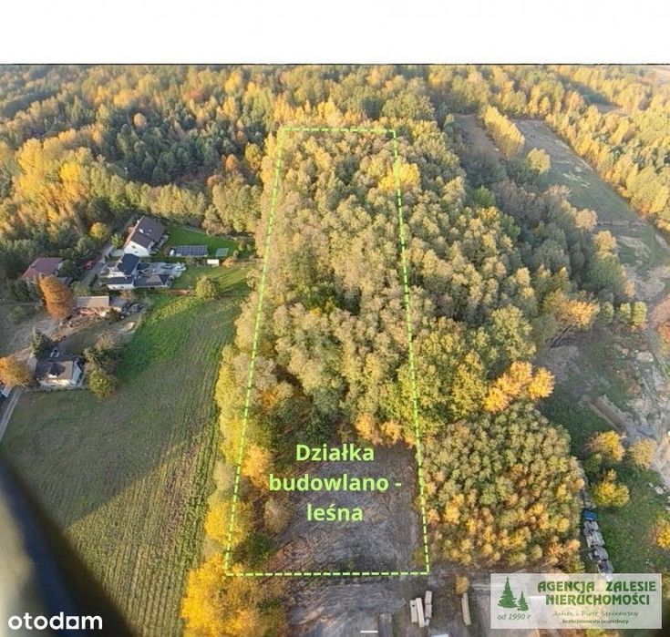 Krupia Wólka k/Zalesia Górnego malownicza posiadłość budowlano-leśna