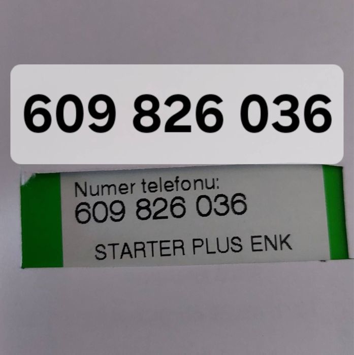 Starter Plus GSM