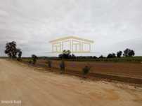 Terreno com projeto aprovado para Quinta Rural