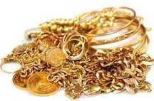 PERDEU OBJETOS METALICOS,OURO,Prata, ou tem terreno, com tesouro?