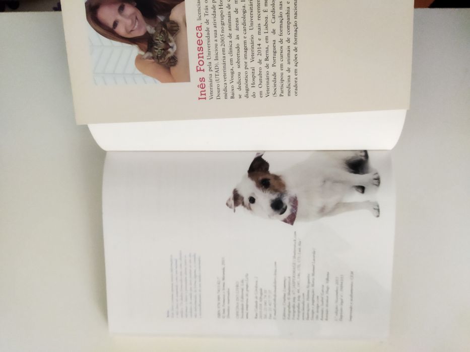 Livro "Cool dog"