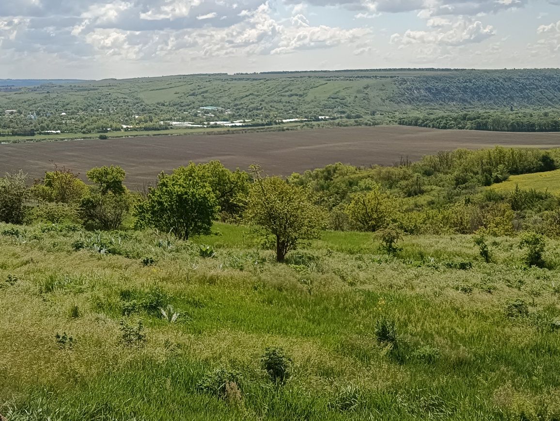 Продається територія подільського раю