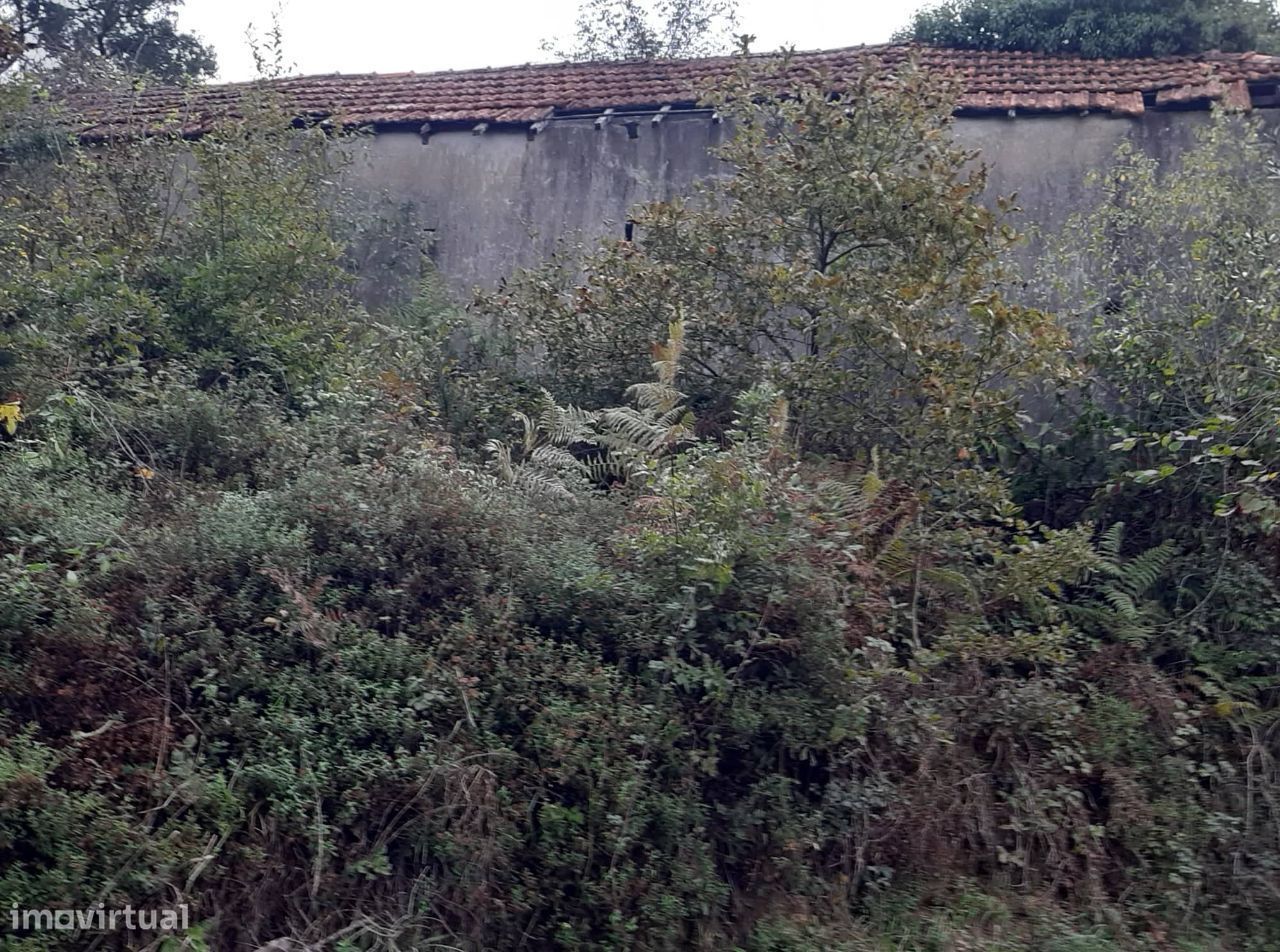 Vende Quinta em Paraíso Castelo Paiva