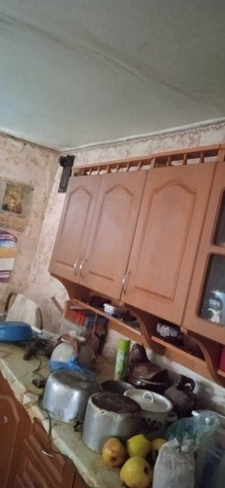 Продаж дома Путивль 76,6  кв.м. + земля и дом в Кононенково