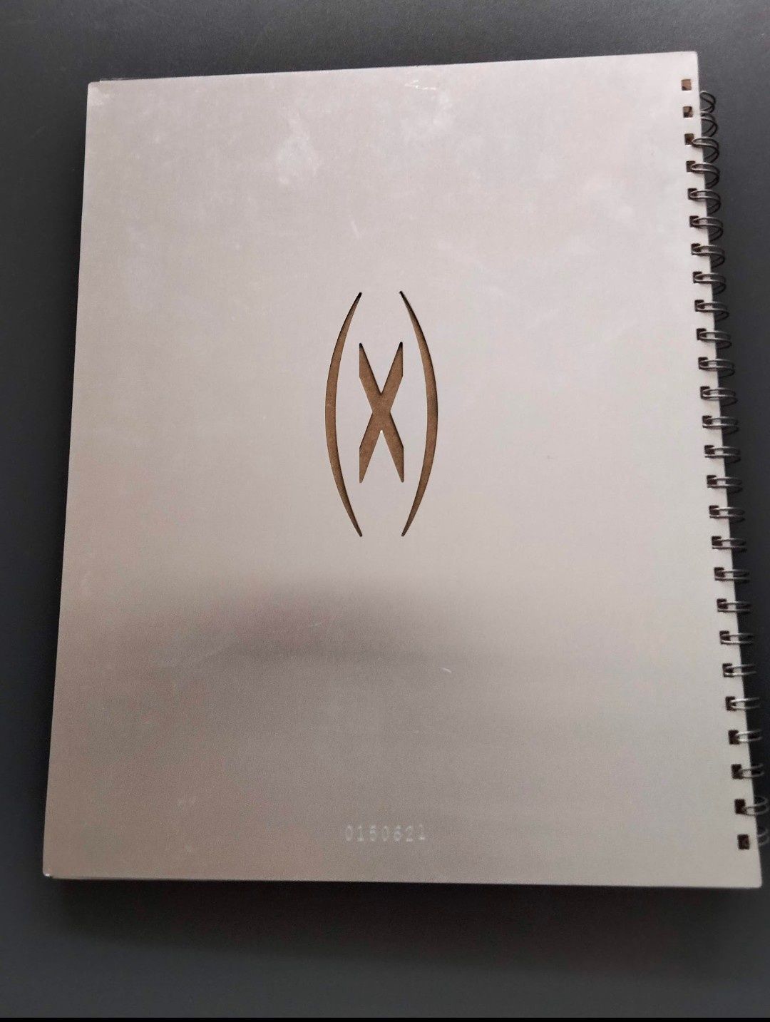 Livro da Madonna