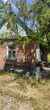 Продам дачний будинок в Сальнику 0925