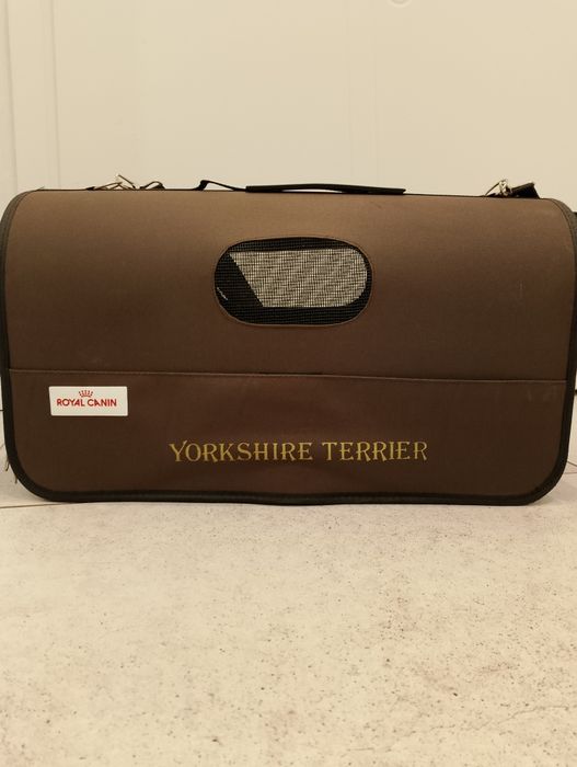 Transporter dla psa York