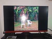 Monitor AOC G2490VXA VA 23.8" FHD 16:9 144Hz FreeSync