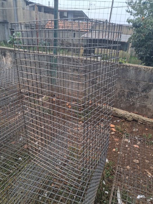 Grandes protecção de árvores