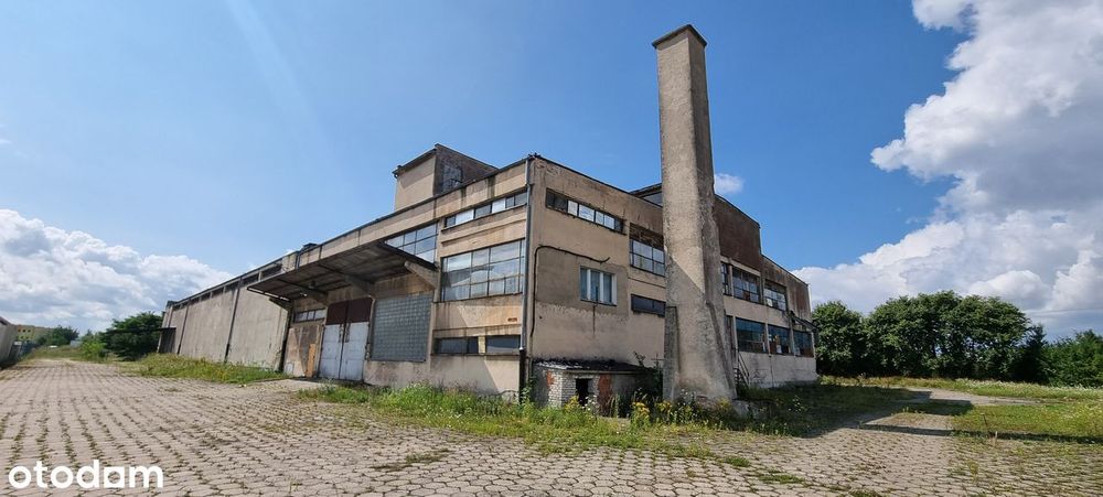Hala/Magazyn, Sępólno Krajeńskie