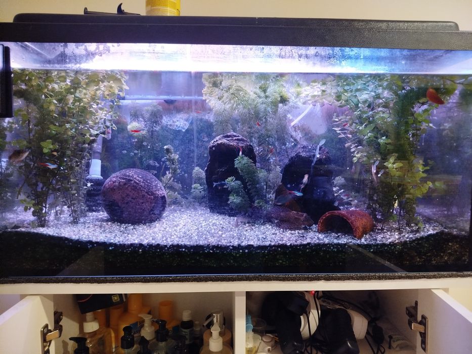 Akwarium 112L w pełni wyposażone