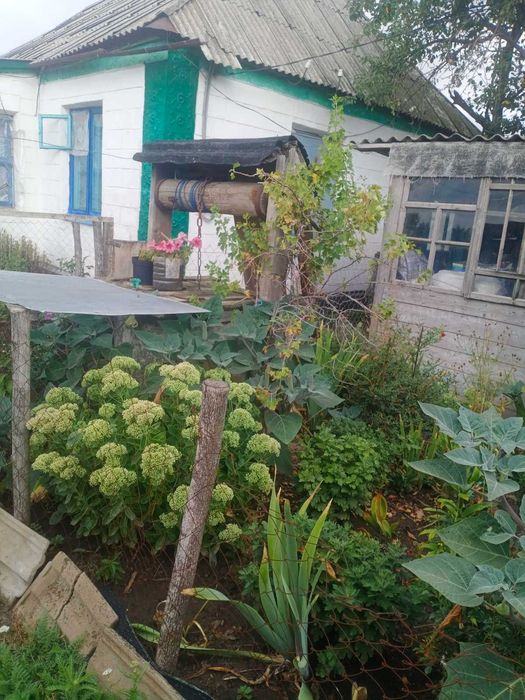 Продам будинок у селі