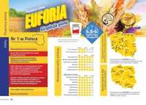 Pszenica ozima EUFORIA C1