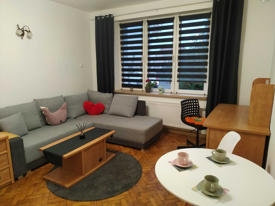 dla studentów  - wynajmę mieszkanie Katowice Zadole