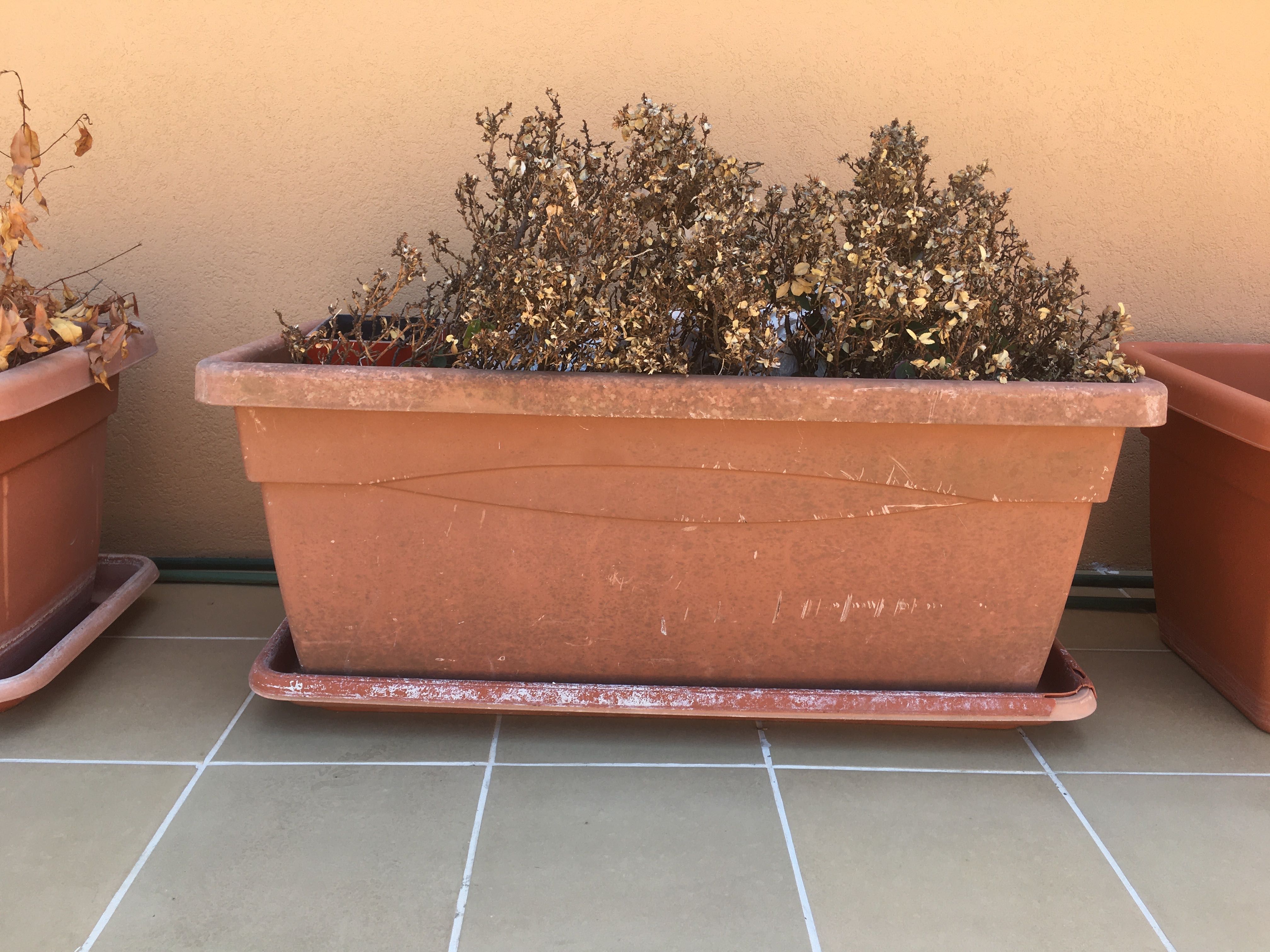 Vaso grande Leroy 1 metro x 40cm