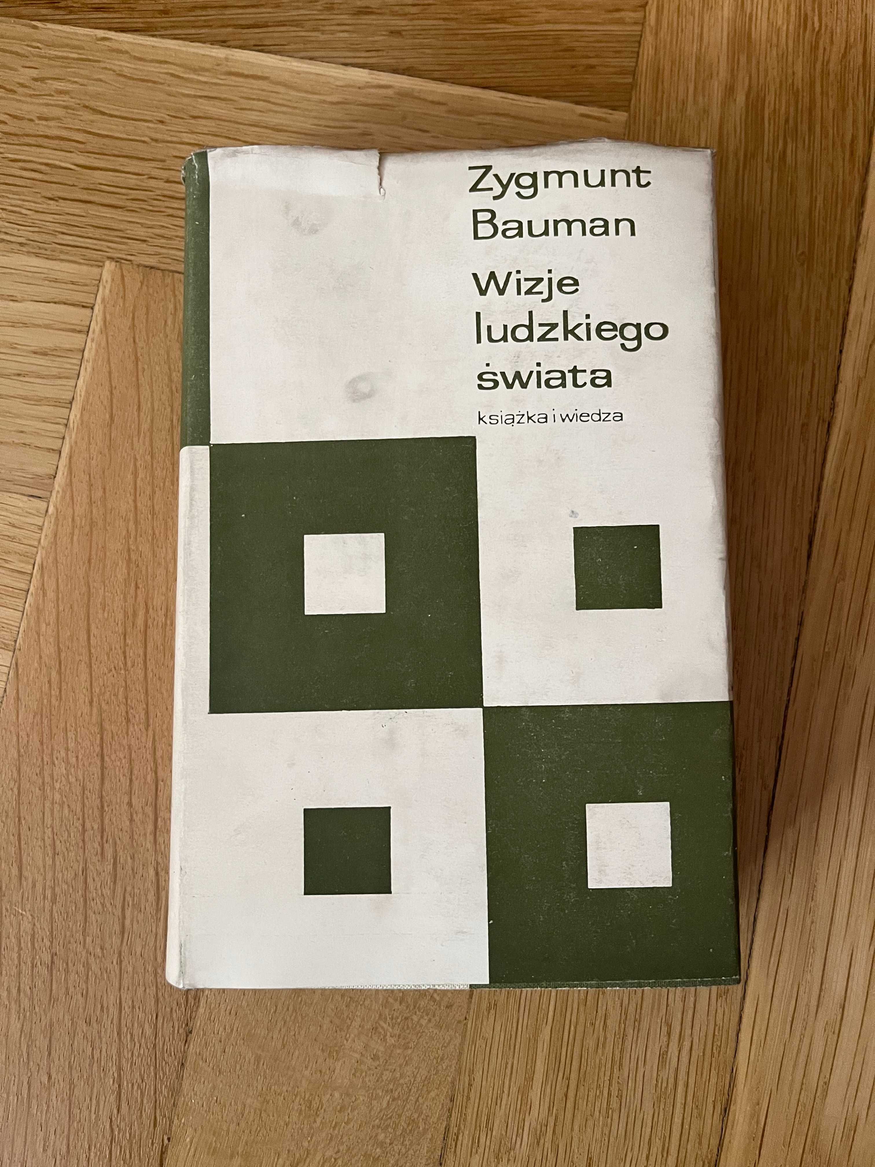 Bauman - Wizje ludzkiego świata