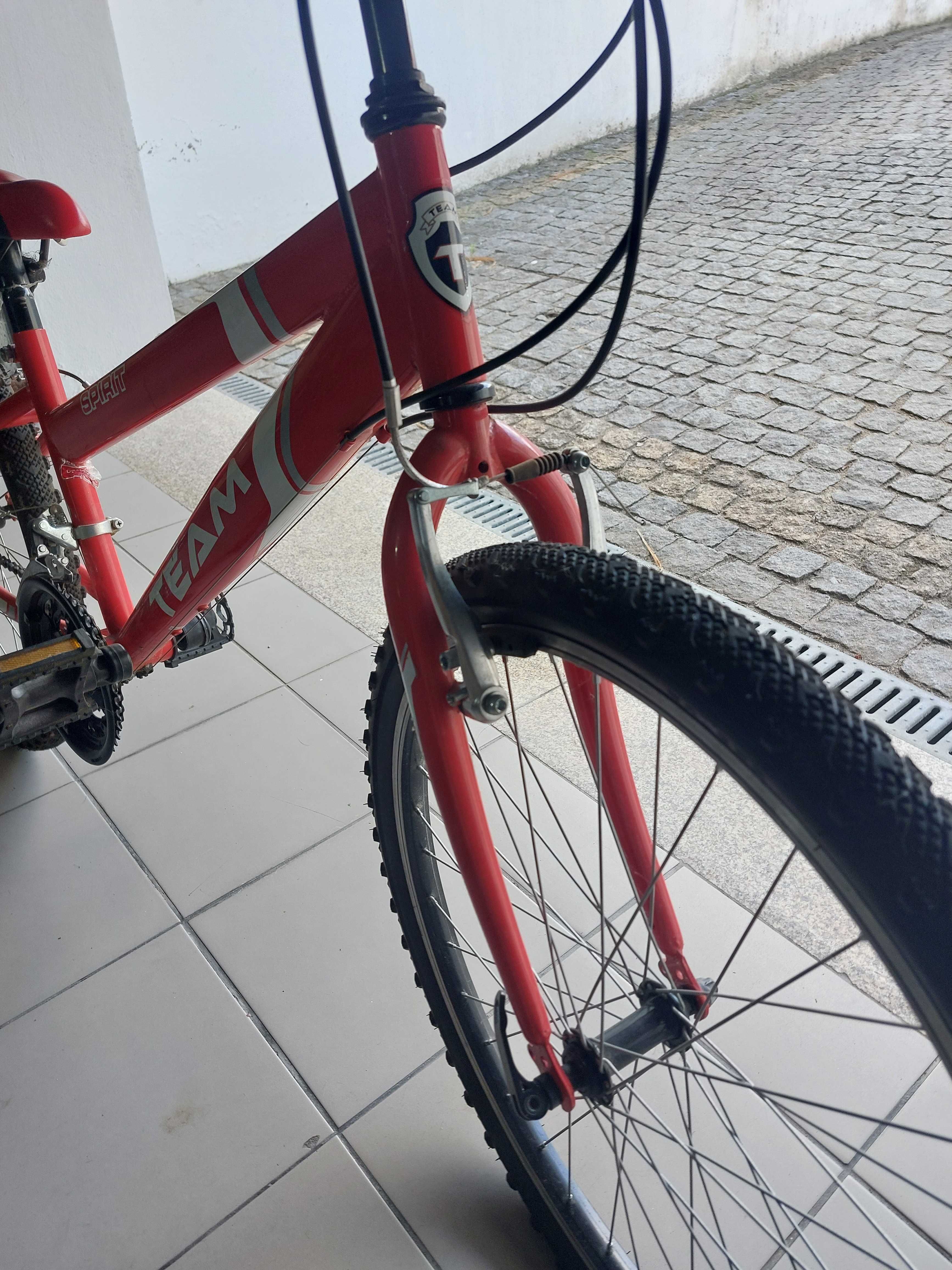 Bicicleta Team Spirirt