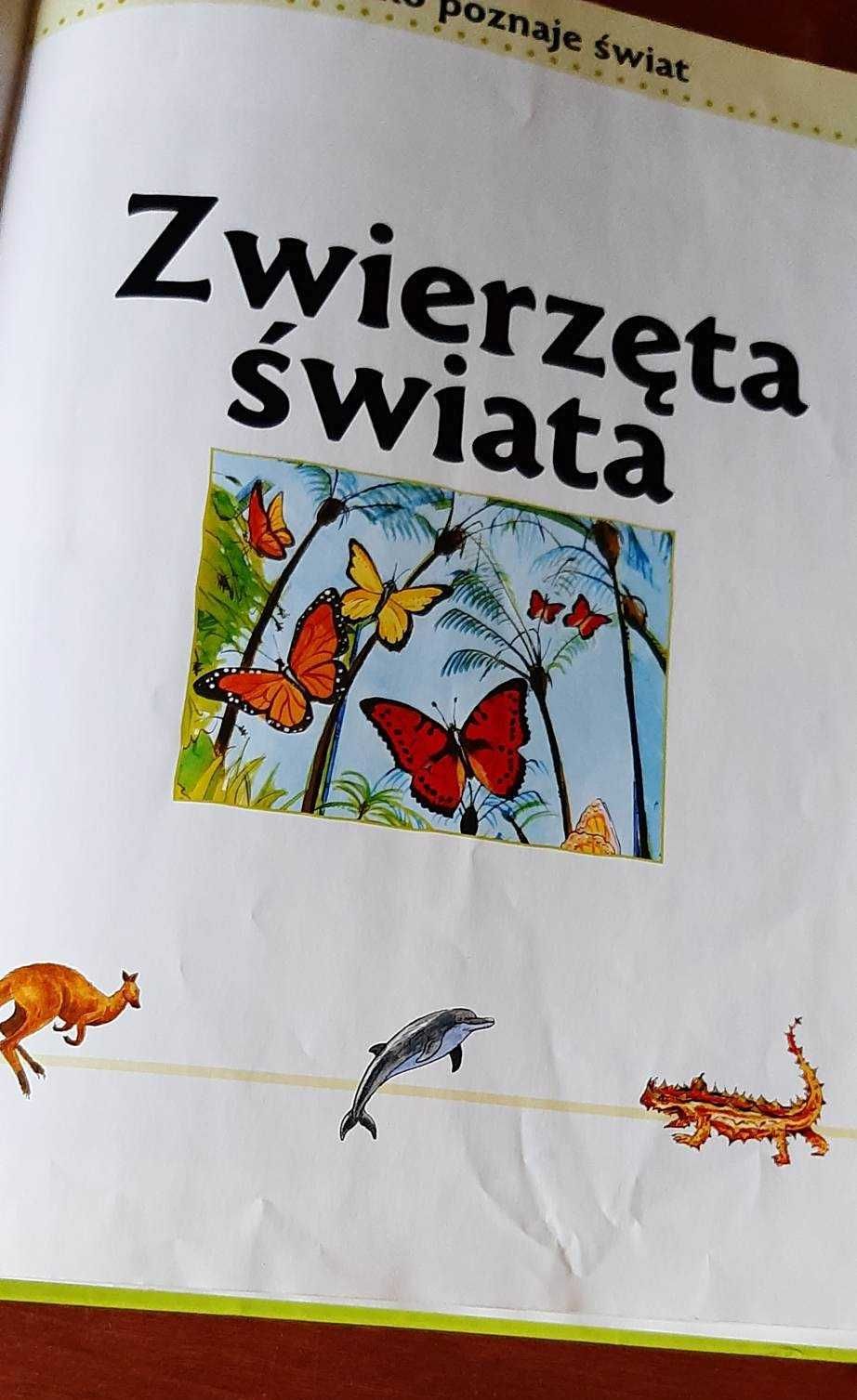 Zwierzęta świata - dziecko poznaje świat / książka dla dzieci