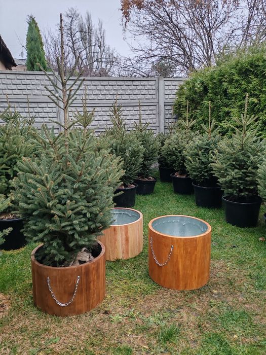 Продам ялинку в дерев'яному контейнері