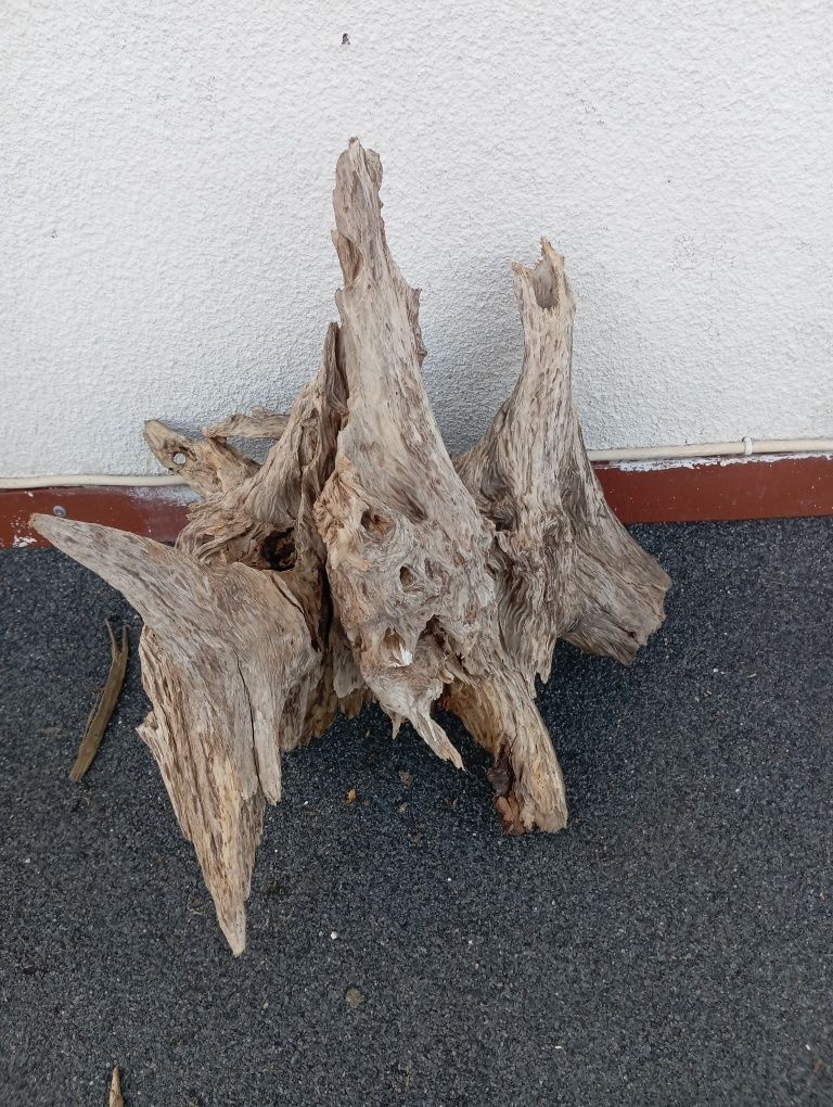 Korzenie do akwarium cd ,terrarium duży wybór !