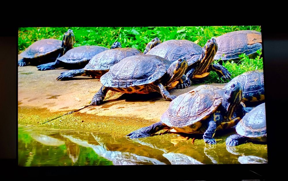 Sprzedam telewizor Sony XR-65X90K