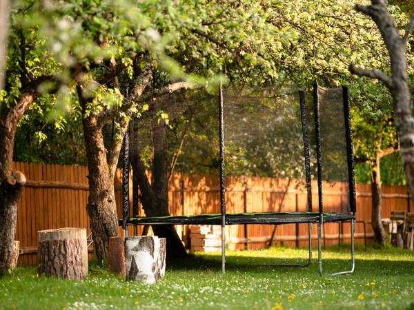 Sylwester,domek lub pokoiki,kuligi z ogniskiem,balia z jacuzzi,las.