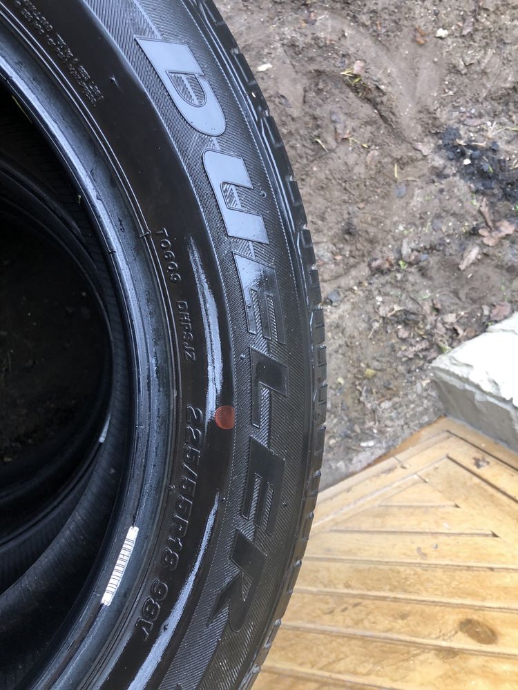 Шини літні Bridgestone 225/55/18