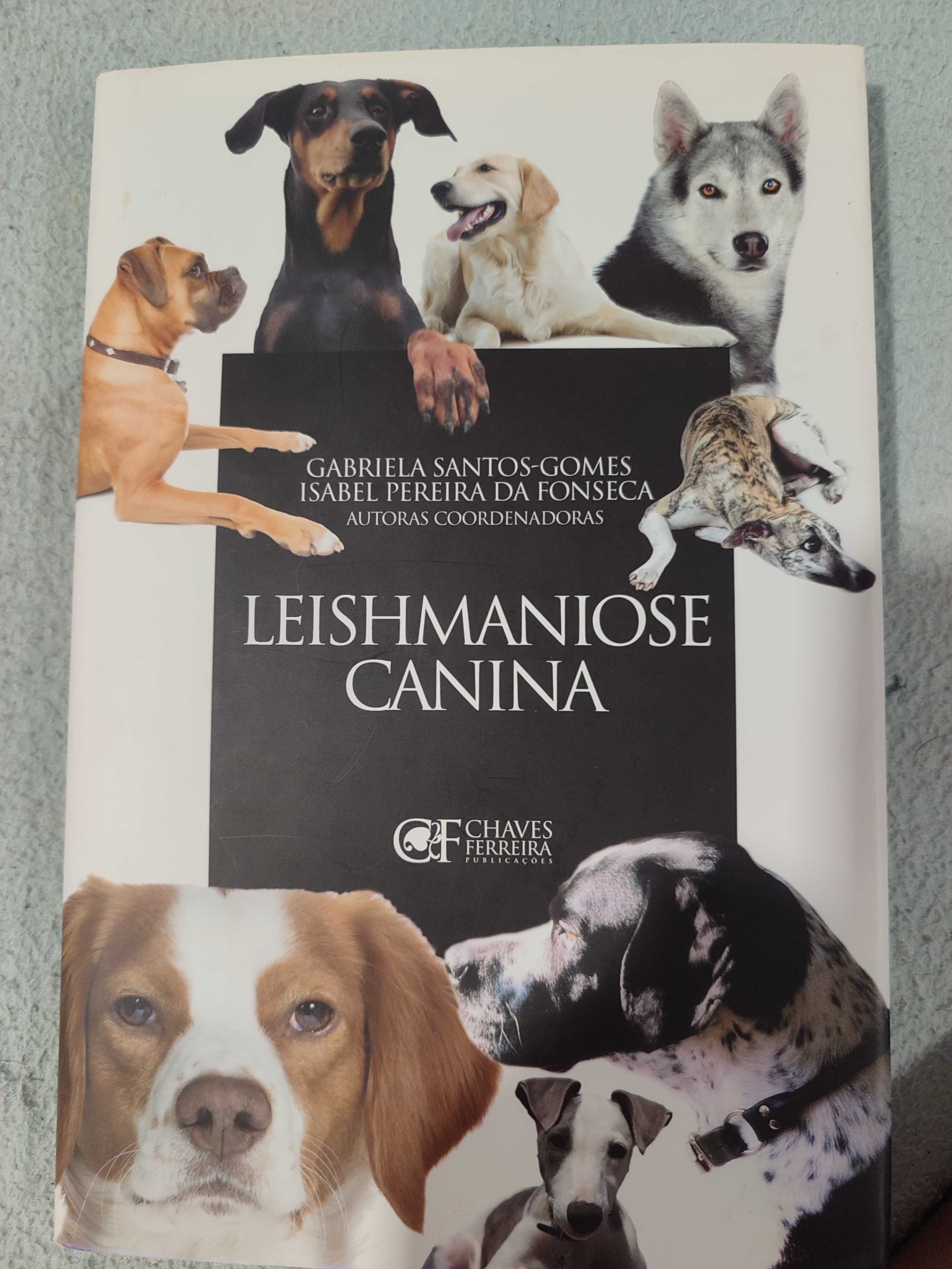 Livro leishmaniose canina