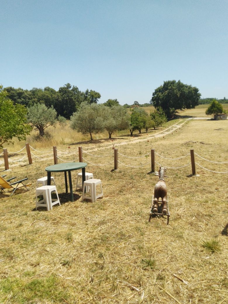 Limpeza de terrenos