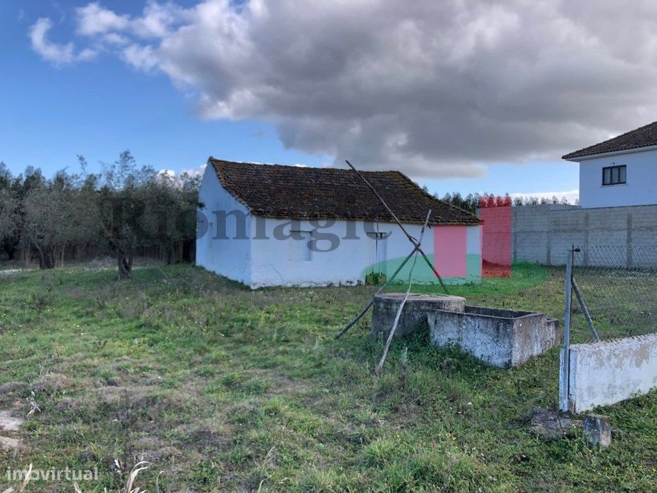 Terreno com Eucaliptal e Casa - Alcoentre***RIOMAGIC***