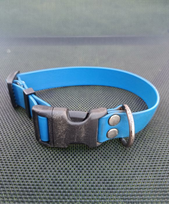 Wodoodporna, niebieska obroża z czarną klamrą zatrzaskową Hauka.dog