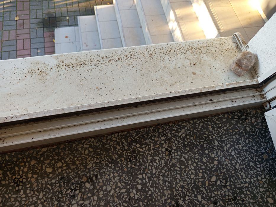 Usługi sprzątające