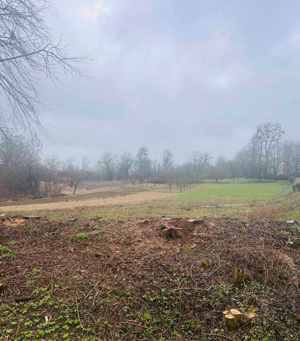 Продається земельна ділянка в с. Парпурівці 2187