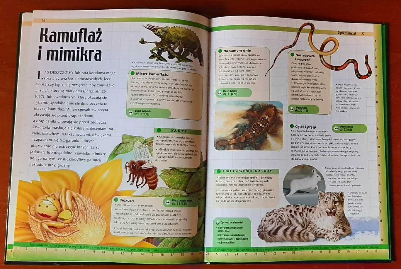 Encyklopedia młodego odkrywcy - Życie zwierząt - Discovery Channel