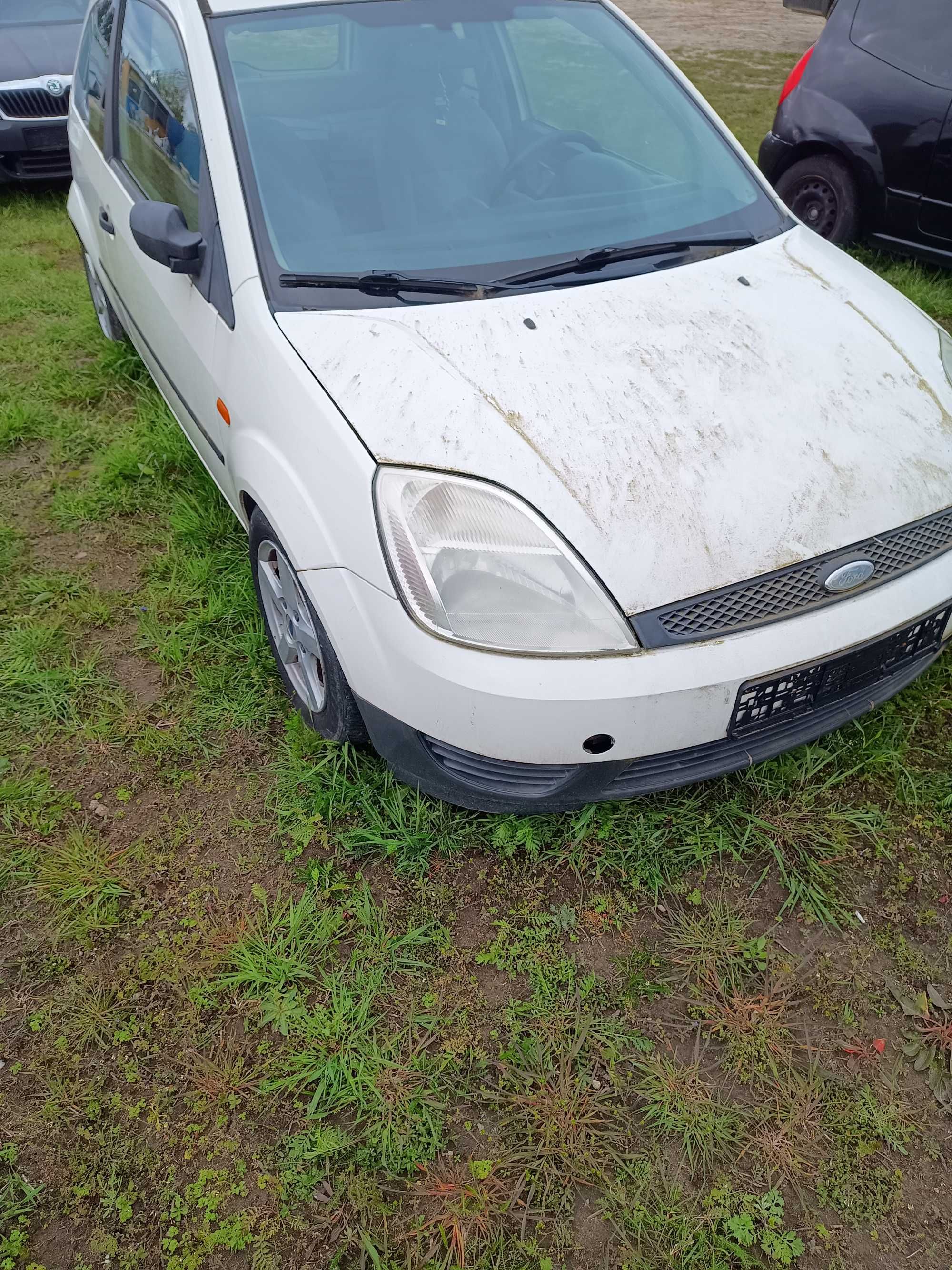 Ford Fiesta benzyna