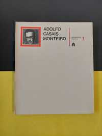 Adolfo Casais Monteiro - Documenta poética 1