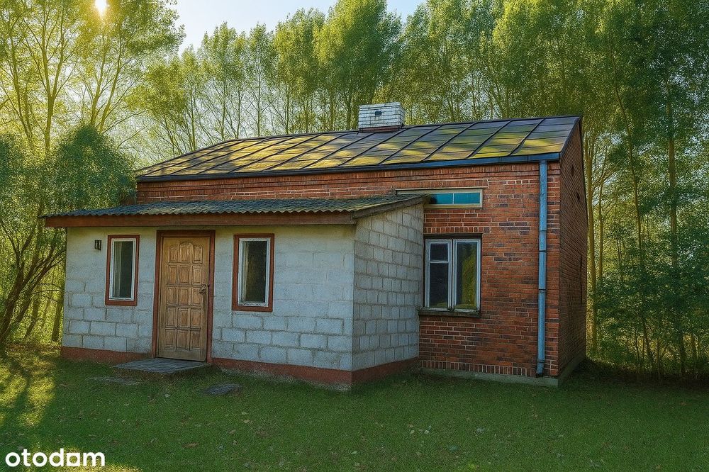 Siedlisko w Głuchowie na dużej działce