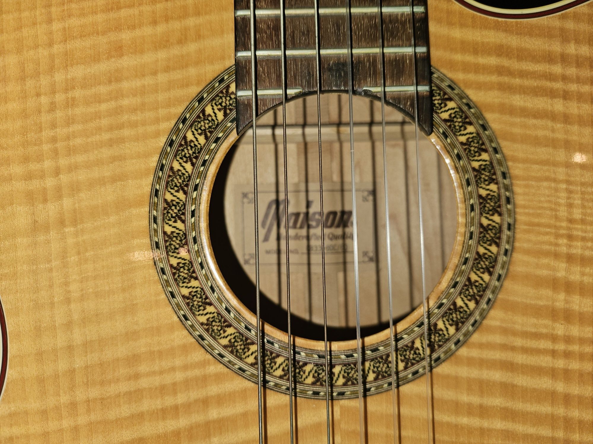Viola electroacustica Maison