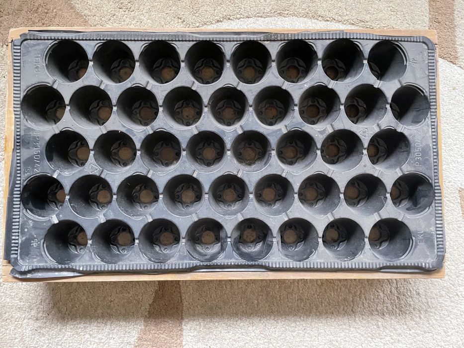 Ящики для рассады и кассеты