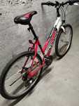Rower Kellys Sphera MTB, damski!