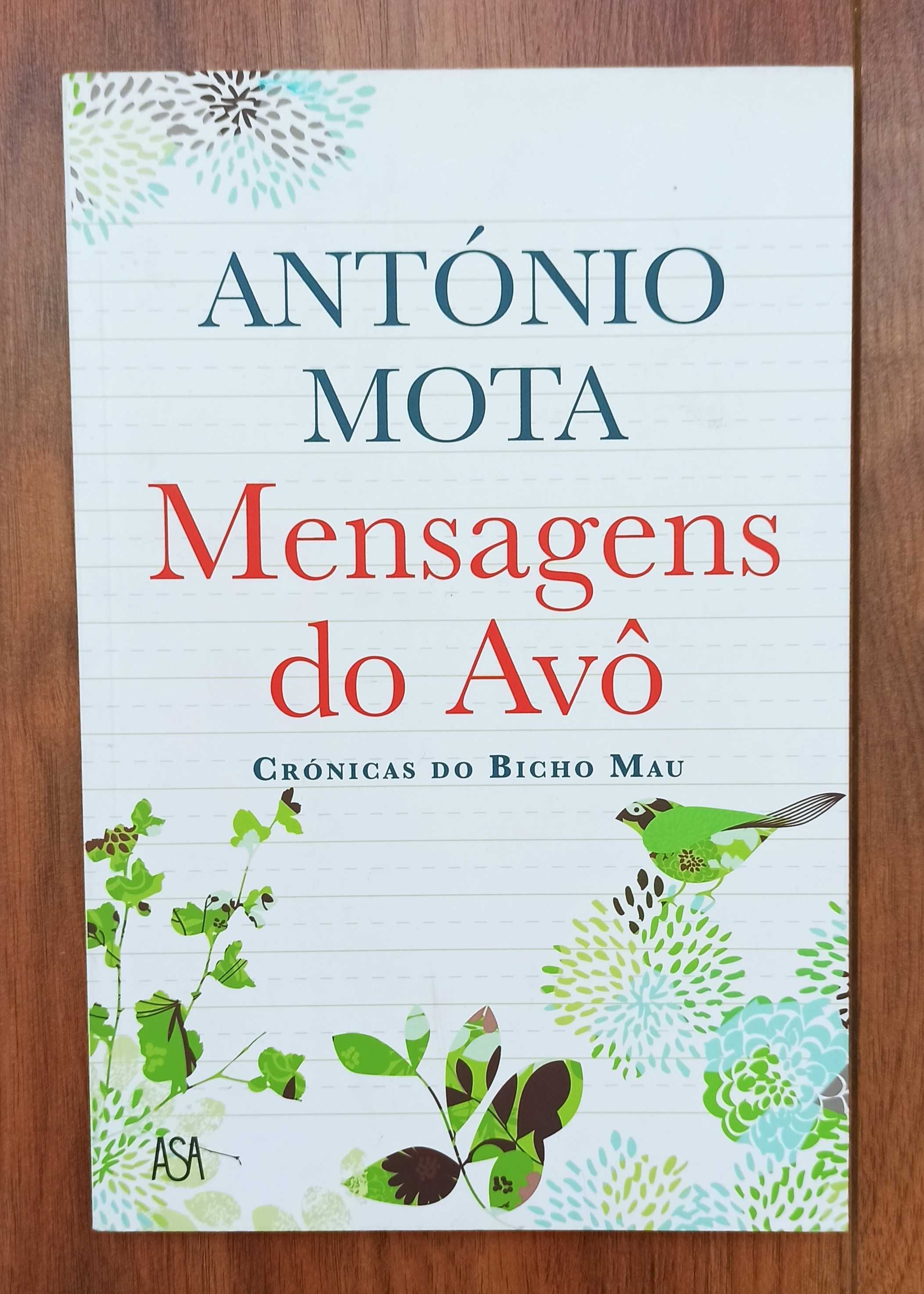 Livro Mensagens do Avo - Crónicas do Bicho Mau de António Mota