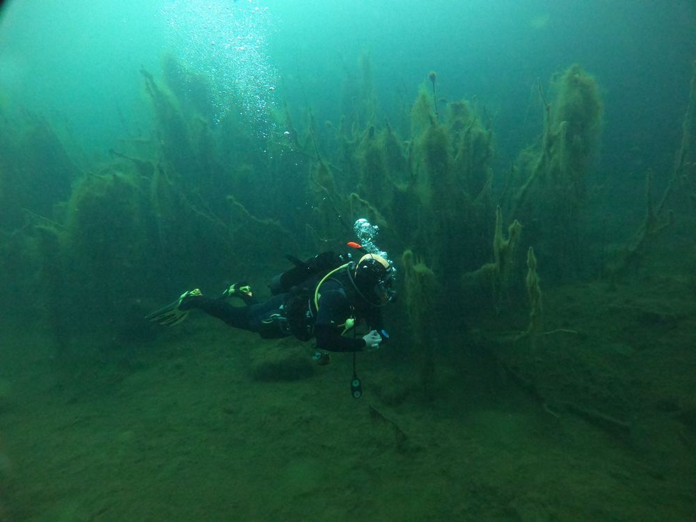 От 2000 грн. Помощь Водолаза. Поиск вещей под водой.