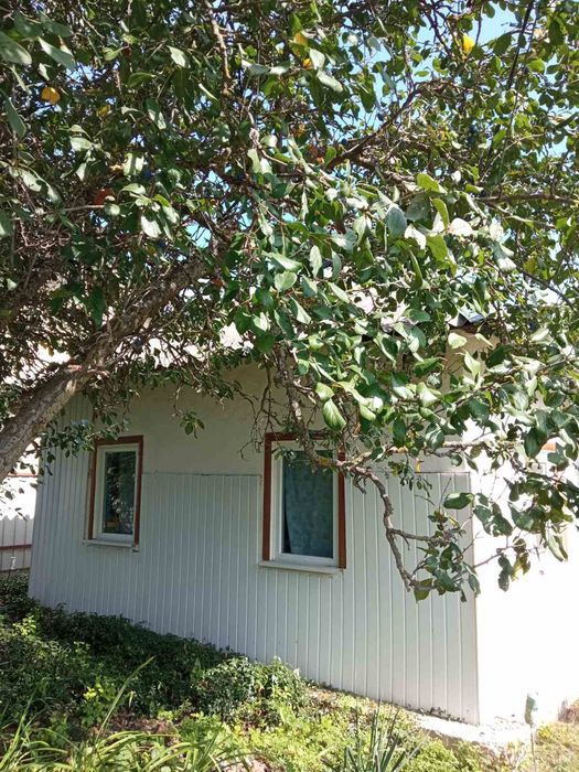 Будинок в селі Великий Крупіль