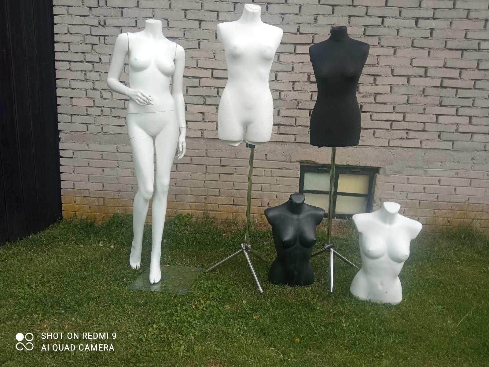 Manekiny Miechów