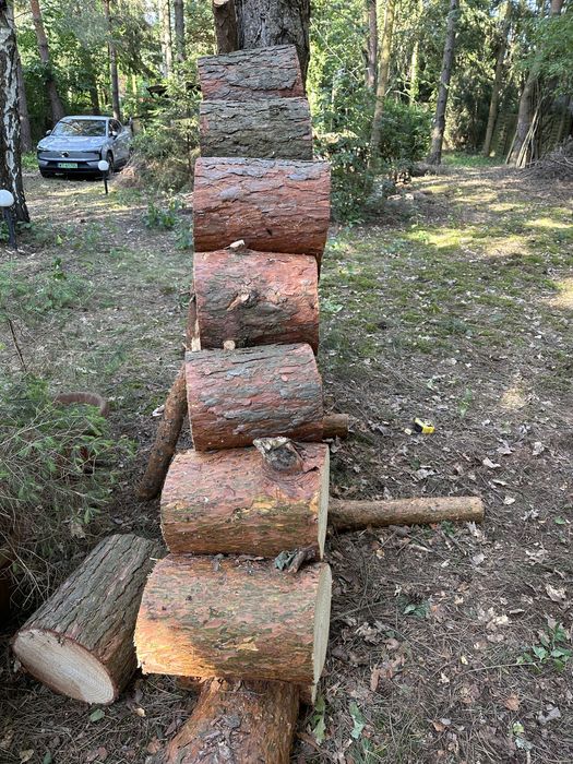 Drewno bale pieńki sosna