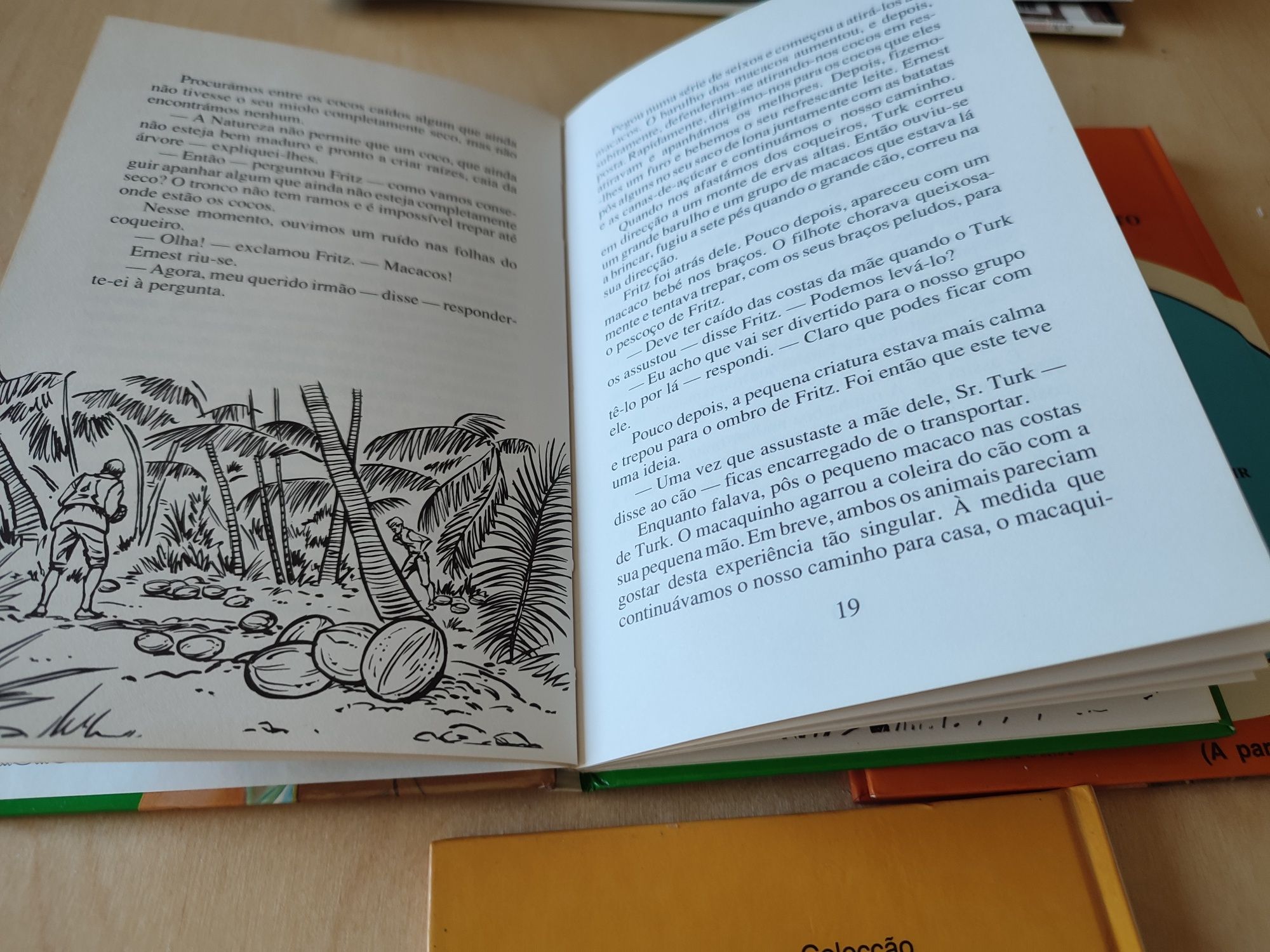 Livros juvenis 12 anos