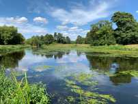 Działki nad Wkrą w Szumlinie