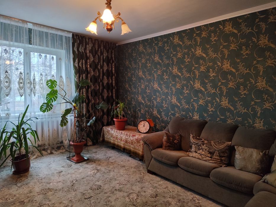 Продаю будинок.Немішаєво.Торг! Терміново!