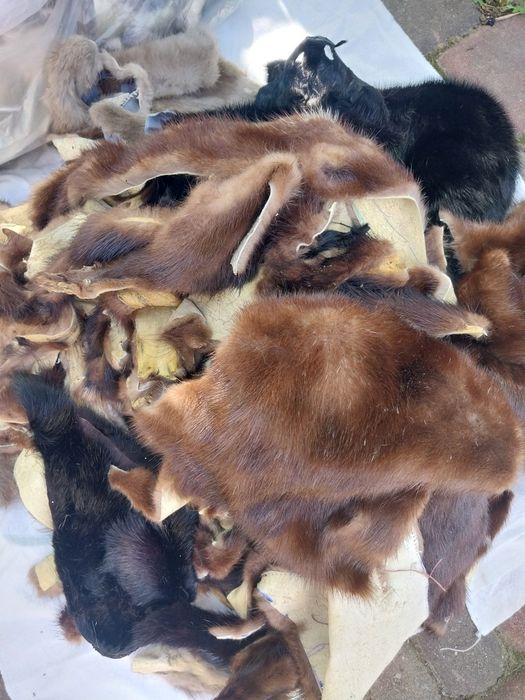 Продам  обрізки  хутра з кролика та норки.
